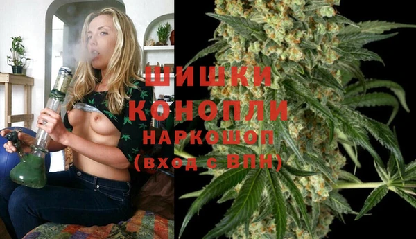 сатива Верхний Тагил