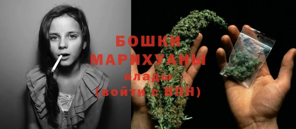 сатива Верхний Тагил